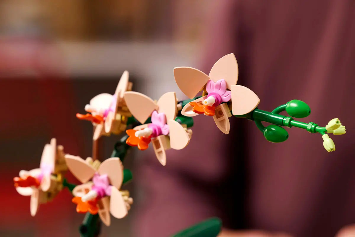 10343 LEGO ICONS - Mini-orchidea