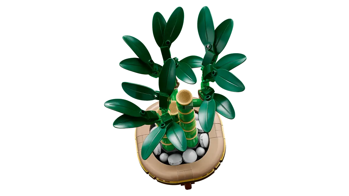 10344 LEGO ICONS - Bambù del buon auspicio