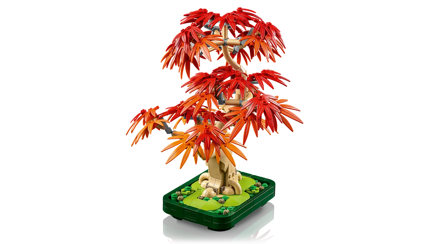 DISPONIBILE DA GIUGNO 2025 - 10348 LEGO ICONS - Bonsai di acero rosso giapponese