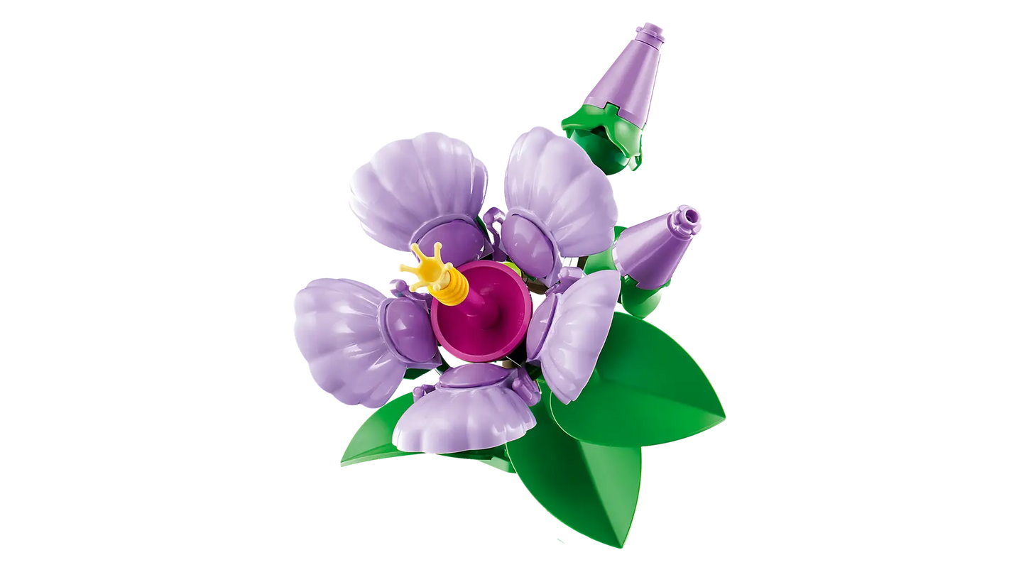 10372 ESCLUSIVA LEGO ICONS - Ibisco