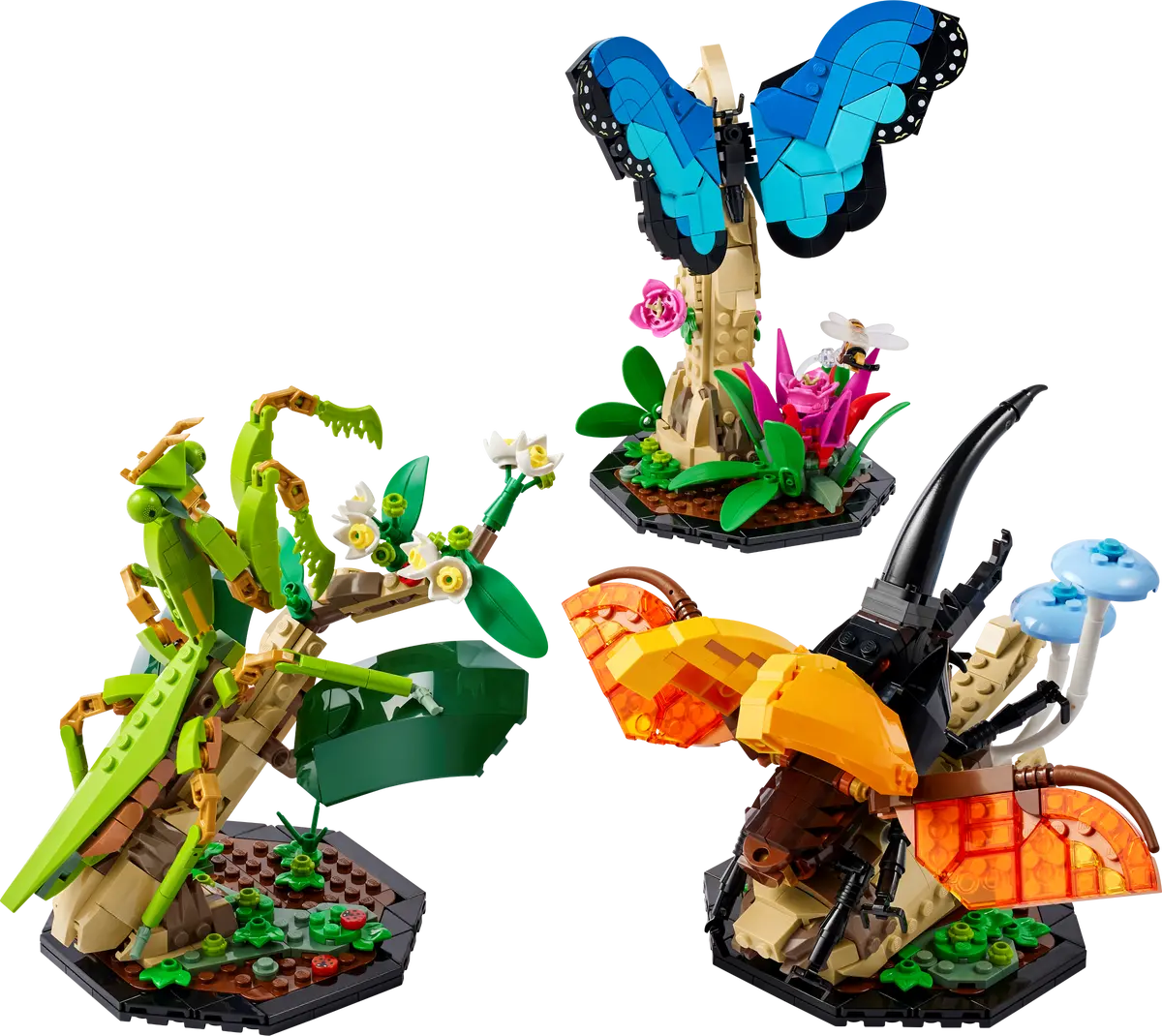 21342 ESCLUSIVA LEGO Ideas - Collezione di insetti