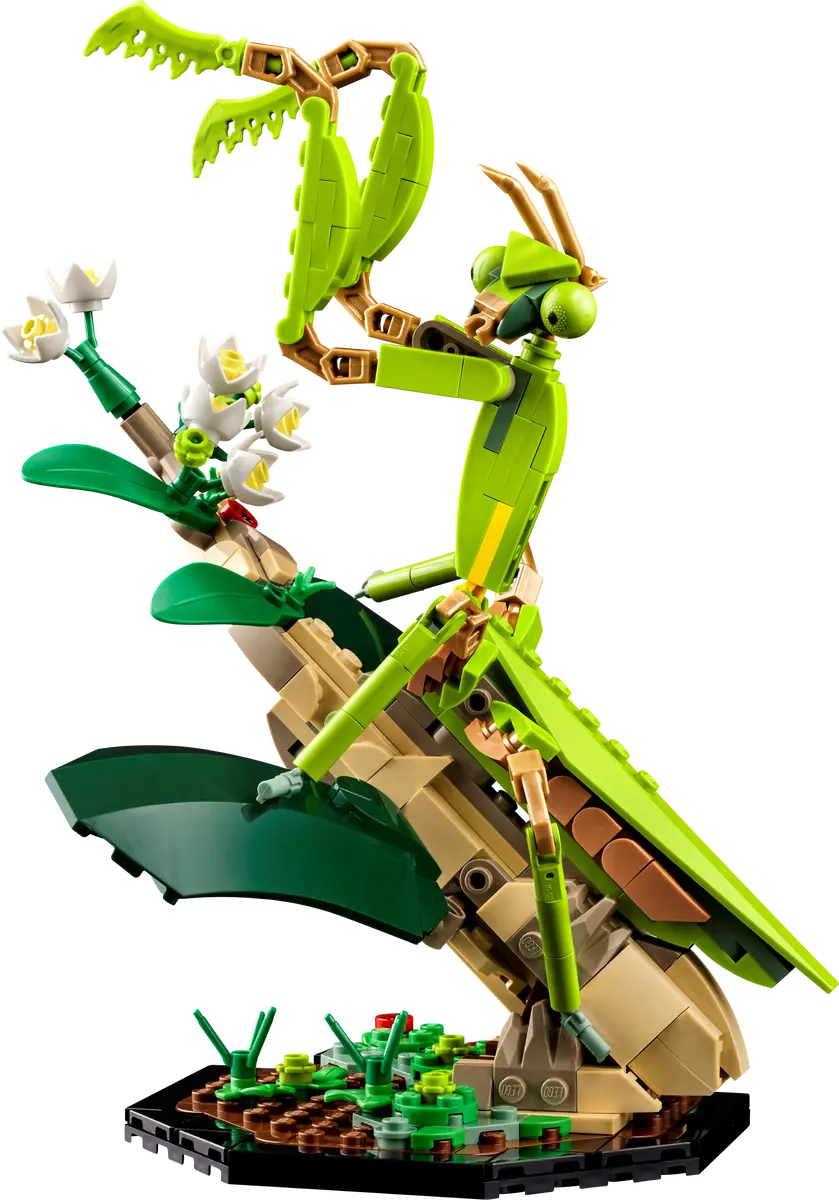 21342 ESCLUSIVA LEGO Ideas - Collezione di insetti