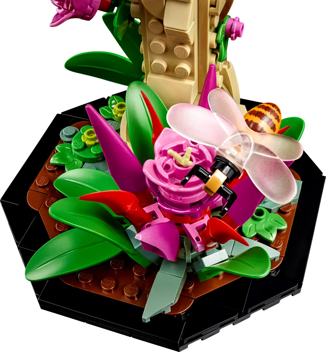 21342 ESCLUSIVA LEGO Ideas - Collezione di insetti