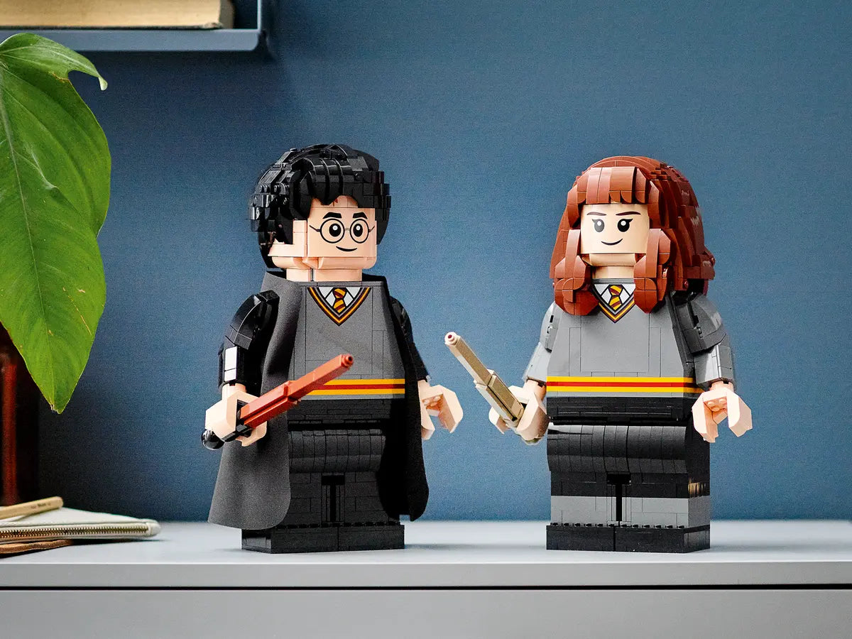 76393 LEGO Harry Potter - Harry Potter ed Hermione Granger™