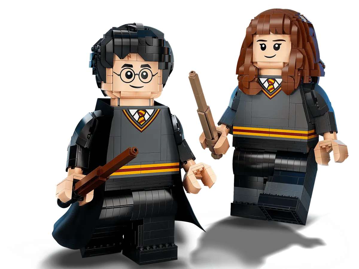 76393 LEGO Harry Potter - Harry Potter ed Hermione Granger™