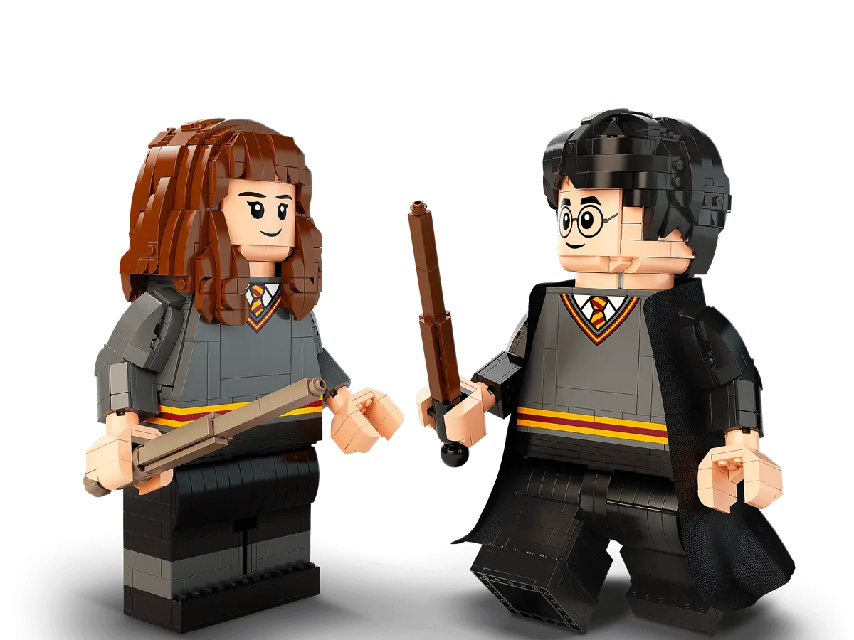 76393 LEGO Harry Potter - Harry Potter ed Hermione Granger™