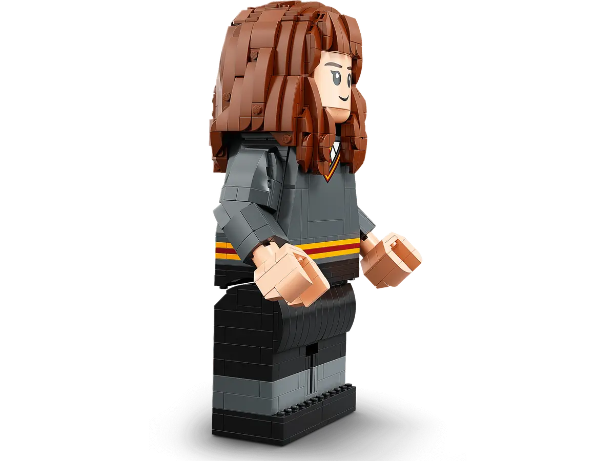 76393 LEGO Harry Potter - Harry Potter ed Hermione Granger™