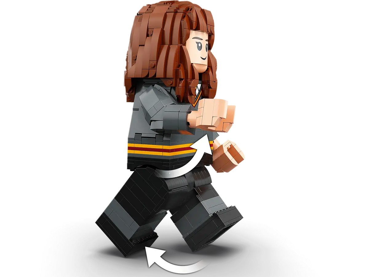 76393 LEGO Harry Potter - Harry Potter ed Hermione Granger™