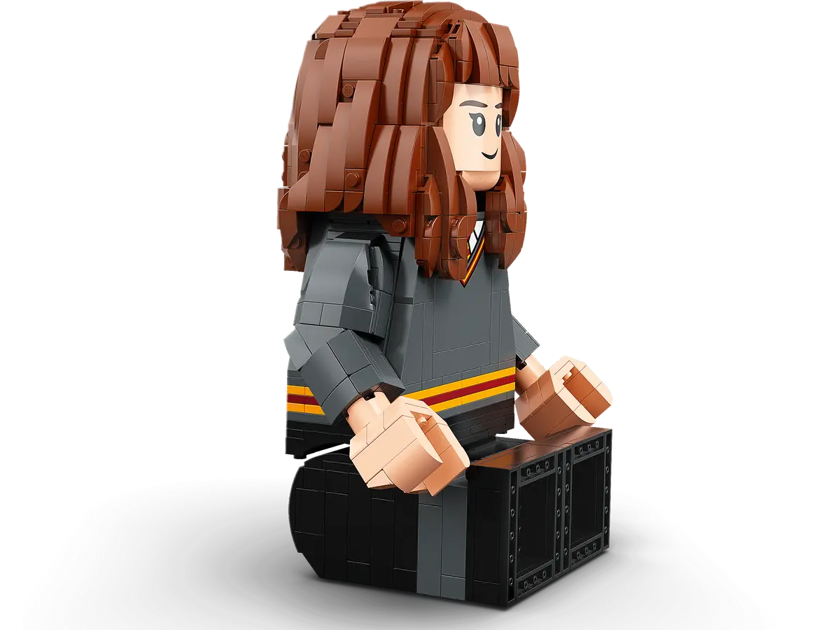 76393 LEGO Harry Potter - Harry Potter ed Hermione Granger™