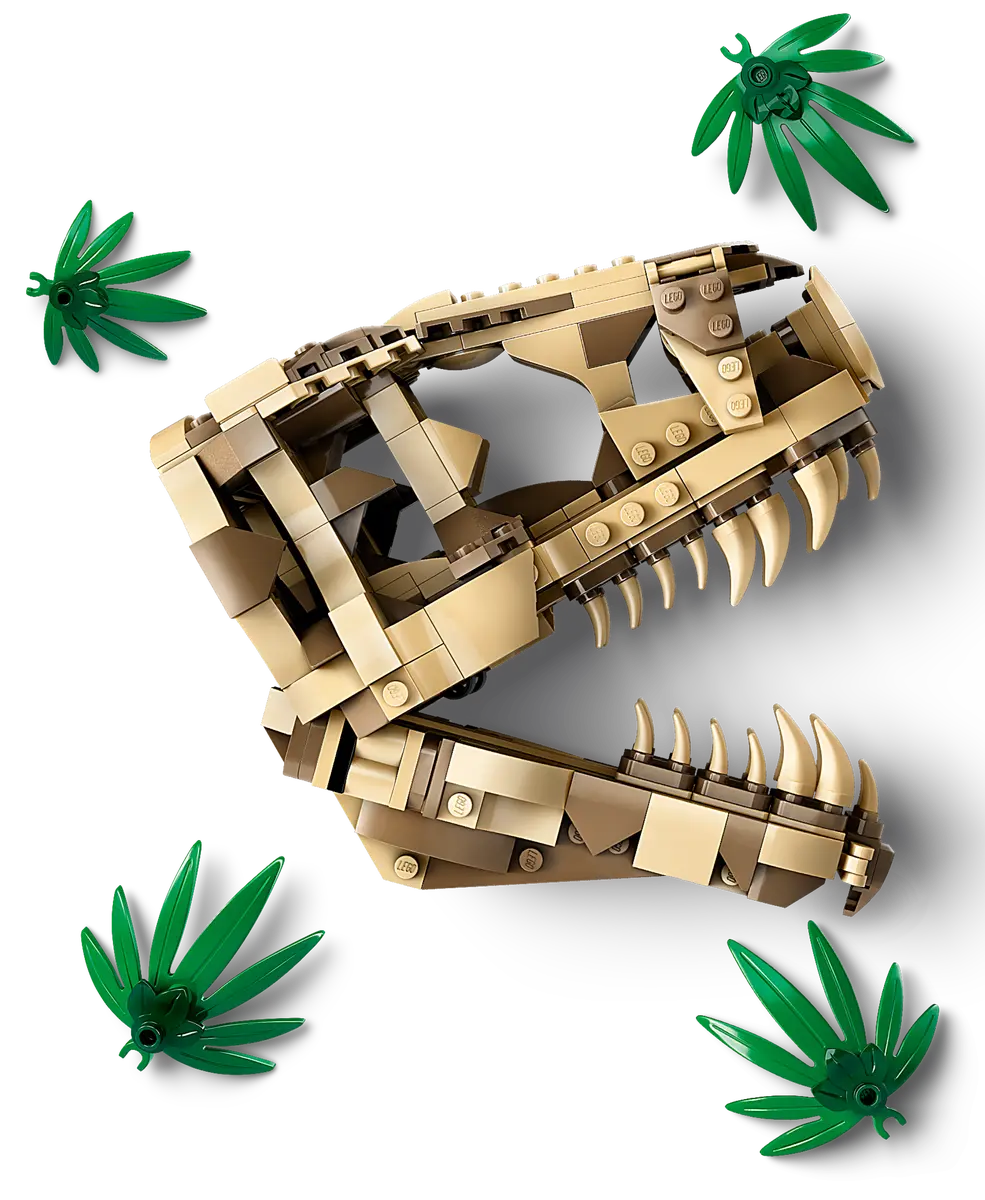 76964 LEGO Jurassic World - Fossili di dinosauro: Teschio di T.rex