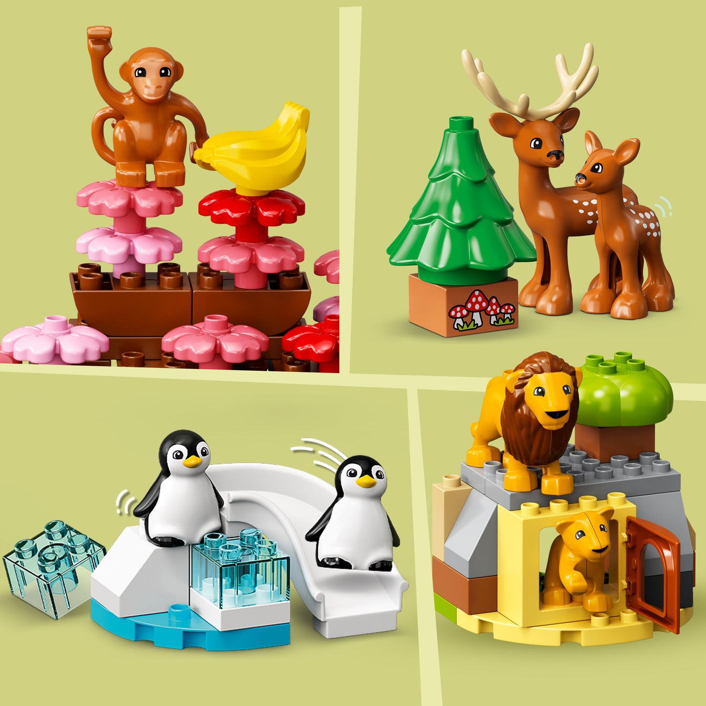 10975 LEGO Duplo - Animali del mondo