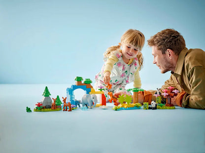 10446 Duplo - Famiglie di animali 3 in 1