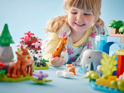 10446 Duplo - Famiglie di animali 3 in 1