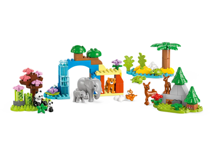 10446 Duplo - Famiglie di animali 3 in 1