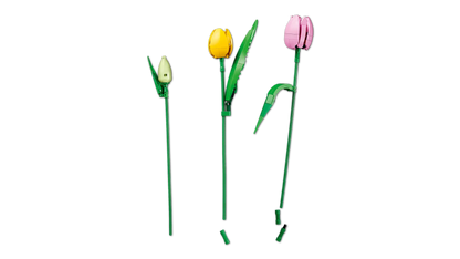 DISPONIBILE DA GENNAIO 2026 - 11501 LEGO ICONS - Bouquet di tulipani