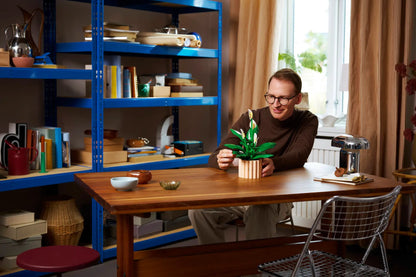 DISPONIBILE DA GENNAIO 2026 - 11504 LEGO ICONS - Spatifillo