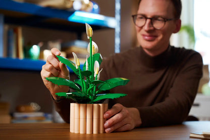 DISPONIBILE DA GENNAIO 2026 - 11504 LEGO ICONS - Spatifillo