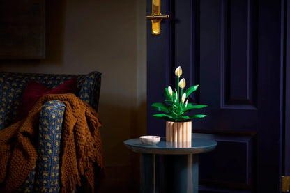 DISPONIBILE DA GENNAIO 2026 - 11504 LEGO ICONS - Spatifillo