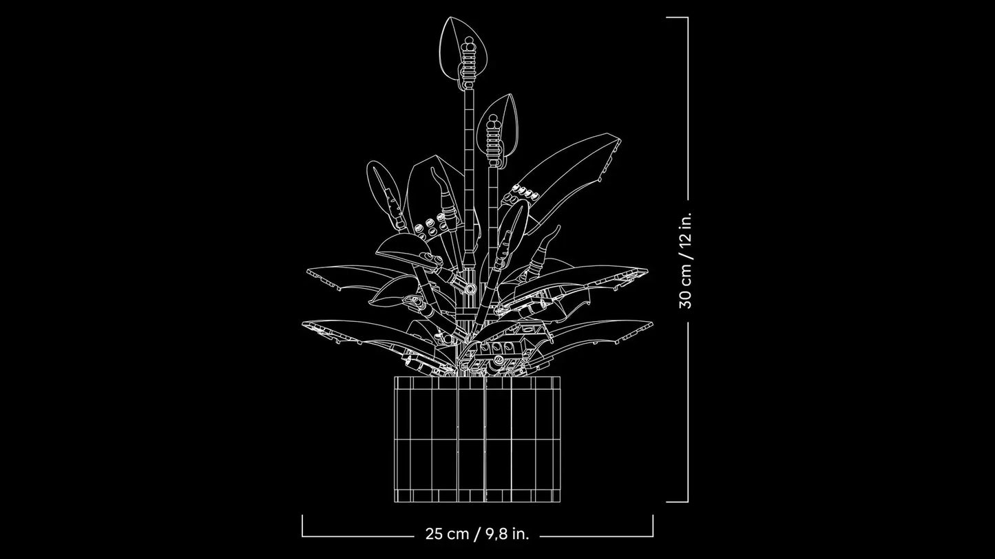 DISPONIBILE DA GENNAIO 2026 - 11504 LEGO ICONS - Spatifillo