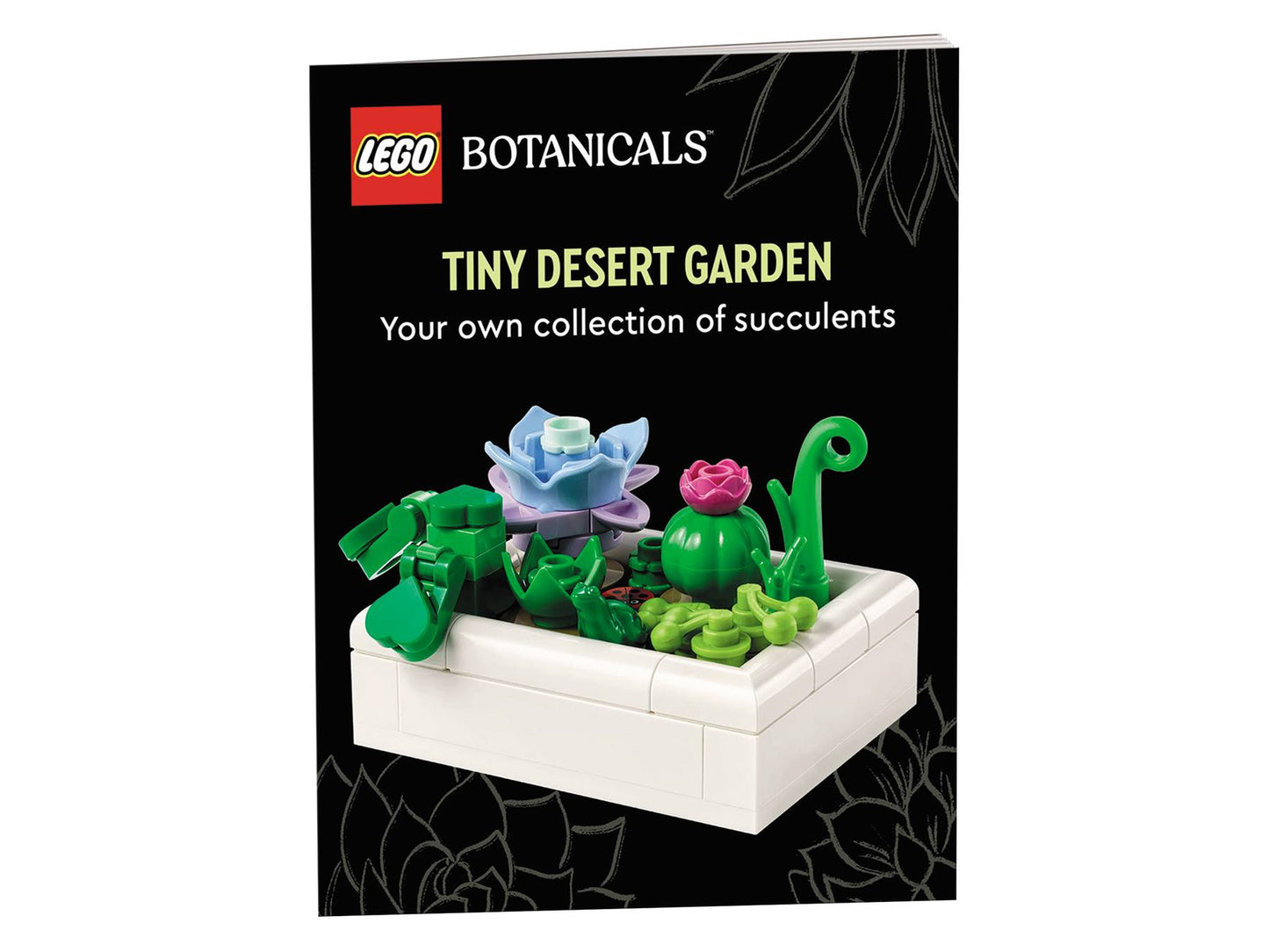 5010093 LEGO BOTANICALS - Piccolo giardino nel deserto