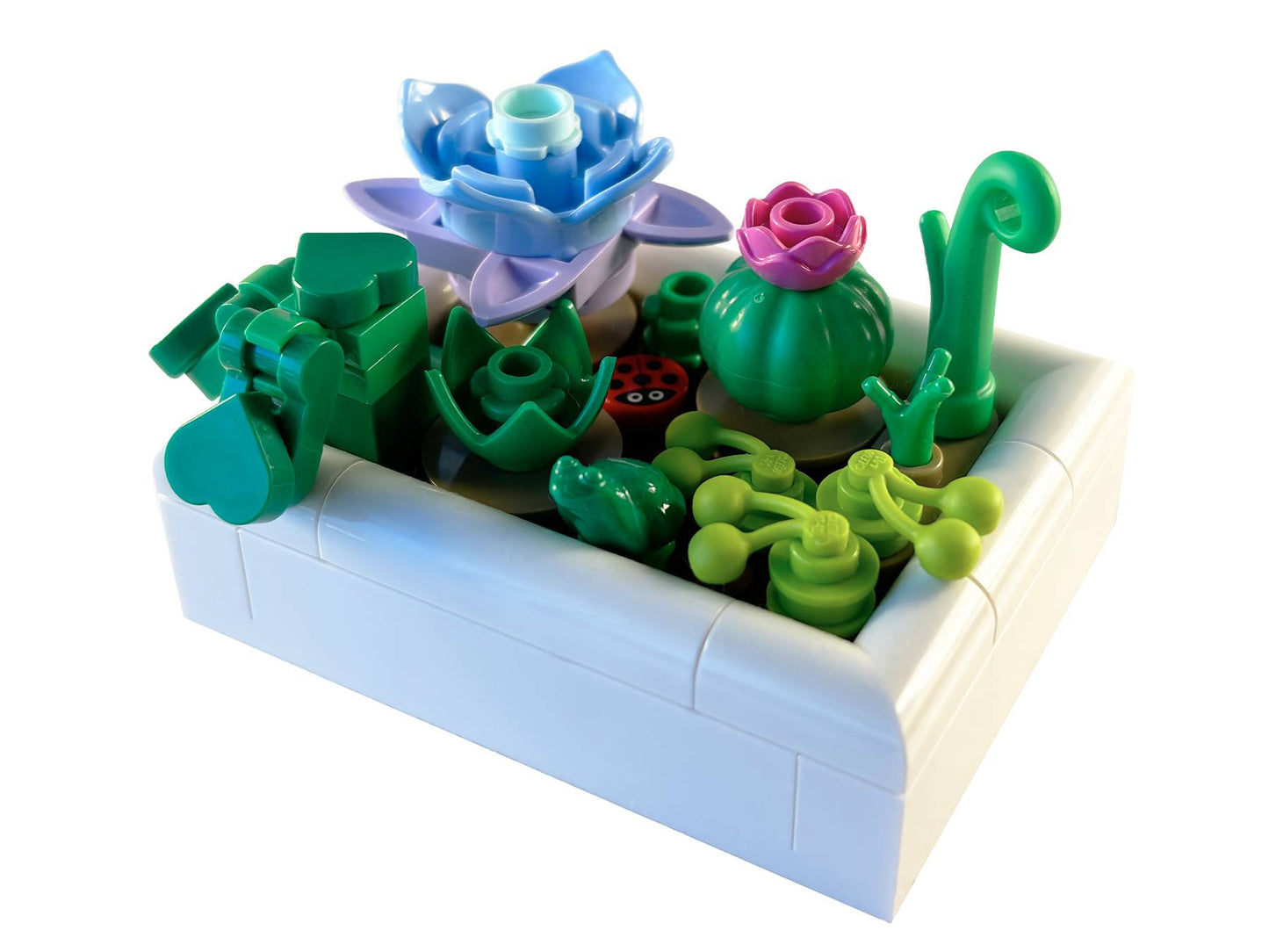 5010093 LEGO BOTANICALS - Piccolo giardino nel deserto