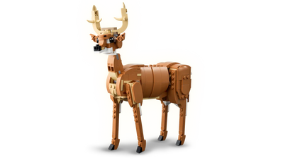31166 LEGO Creator - Cavallo meraviglioso