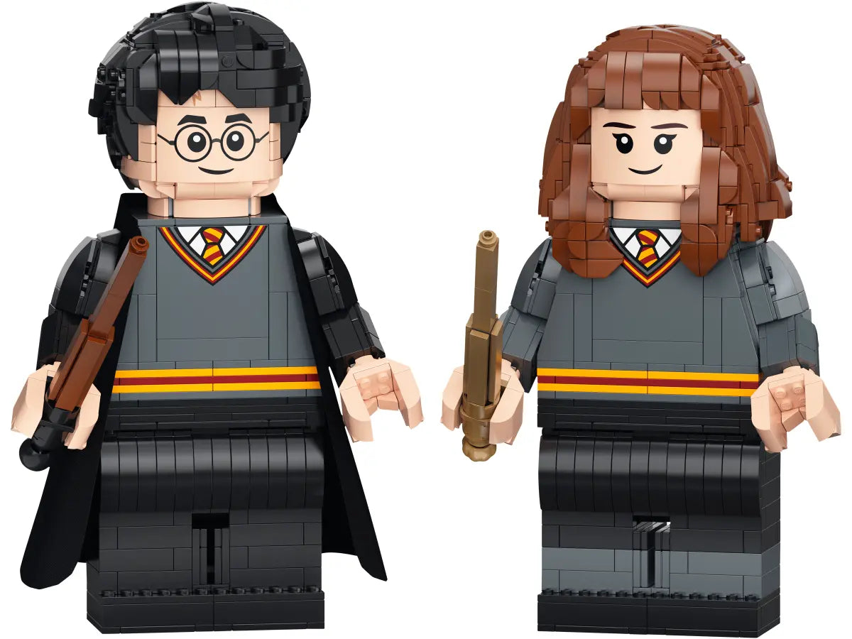 76393 LEGO Harry Potter - Harry Potter ed Hermione Granger™