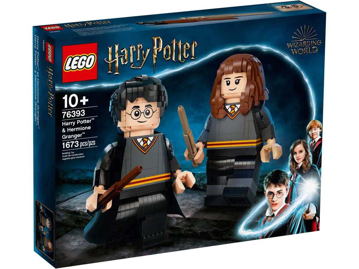 76393 LEGO Harry Potter - Harry Potter ed Hermione Granger™