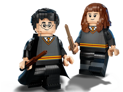 76393 LEGO Harry Potter - Harry Potter ed Hermione Granger™