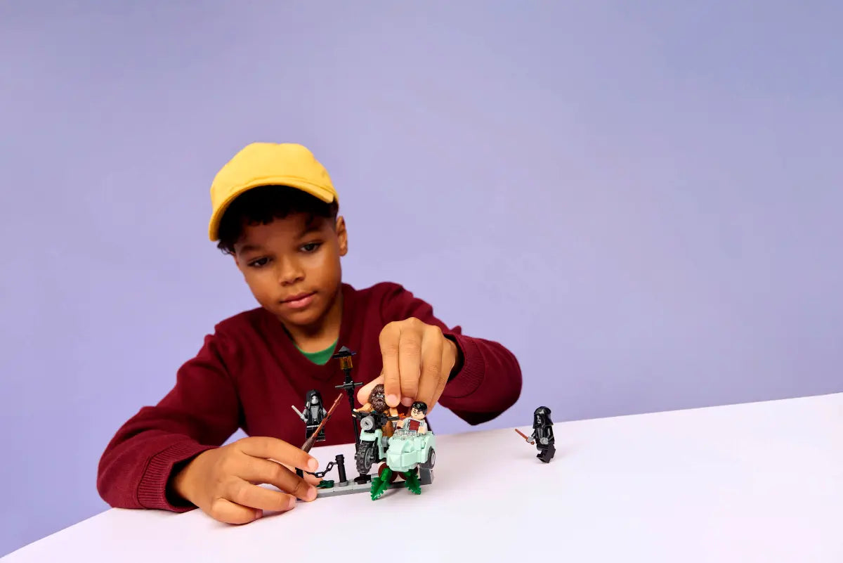 DISPONIBILE DA GENNAIO 2026 - 76459 LEGO Harry Potter - Fuga da Privet Drive di Hagrid™ e Harry