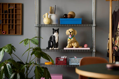 DISPONIBILE DA APRILE 2026 - 11384 LEGO ICONS - Cucciolo di Golden Retriever