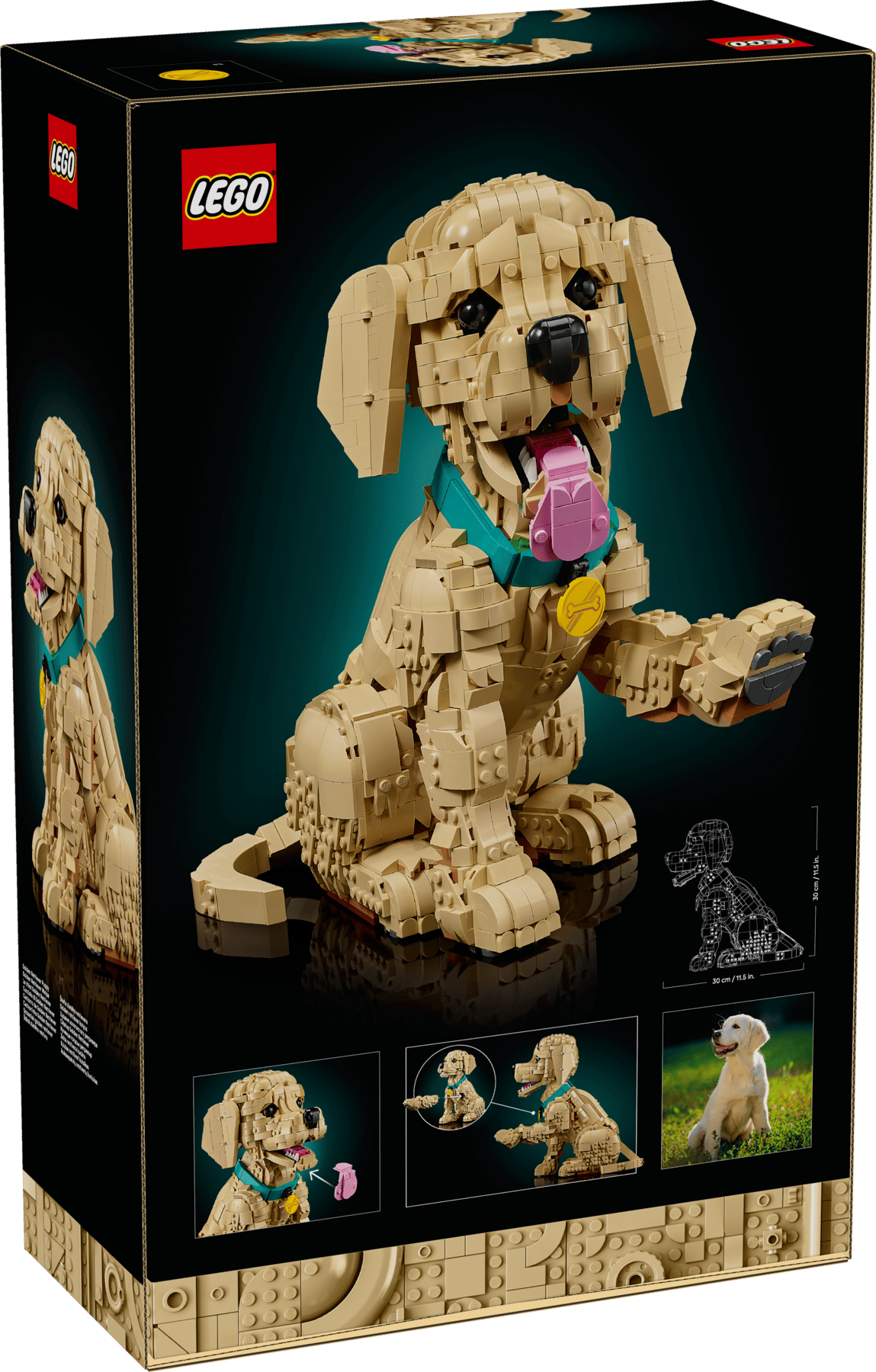 DISPONIBILE DA APRILE 2026 - 11384 LEGO ICONS - Cucciolo di Golden Retriever