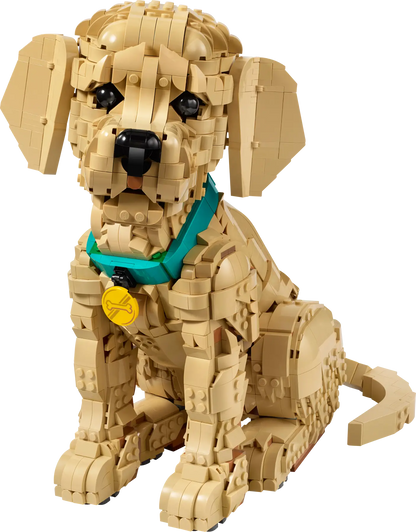 DISPONIBILE DA APRILE 2026 - 11384 LEGO ICONS - Cucciolo di Golden Retriever