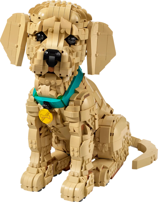 DISPONIBILE DA APRILE 2026 - 11384 LEGO ICONS - Cucciolo di Golden Retriever