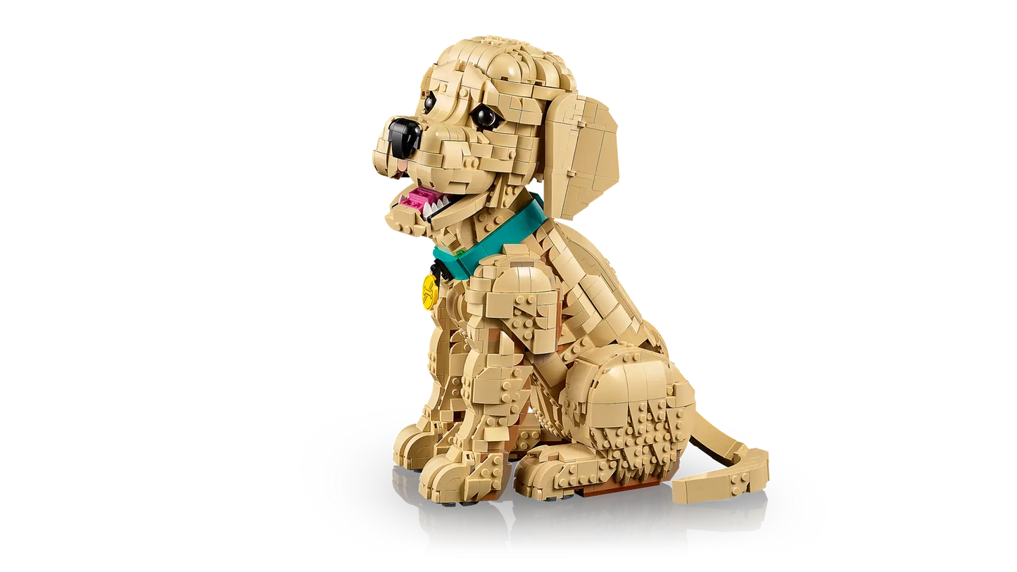 DISPONIBILE DA APRILE 2026 - 11384 LEGO ICONS - Cucciolo di Golden Retriever