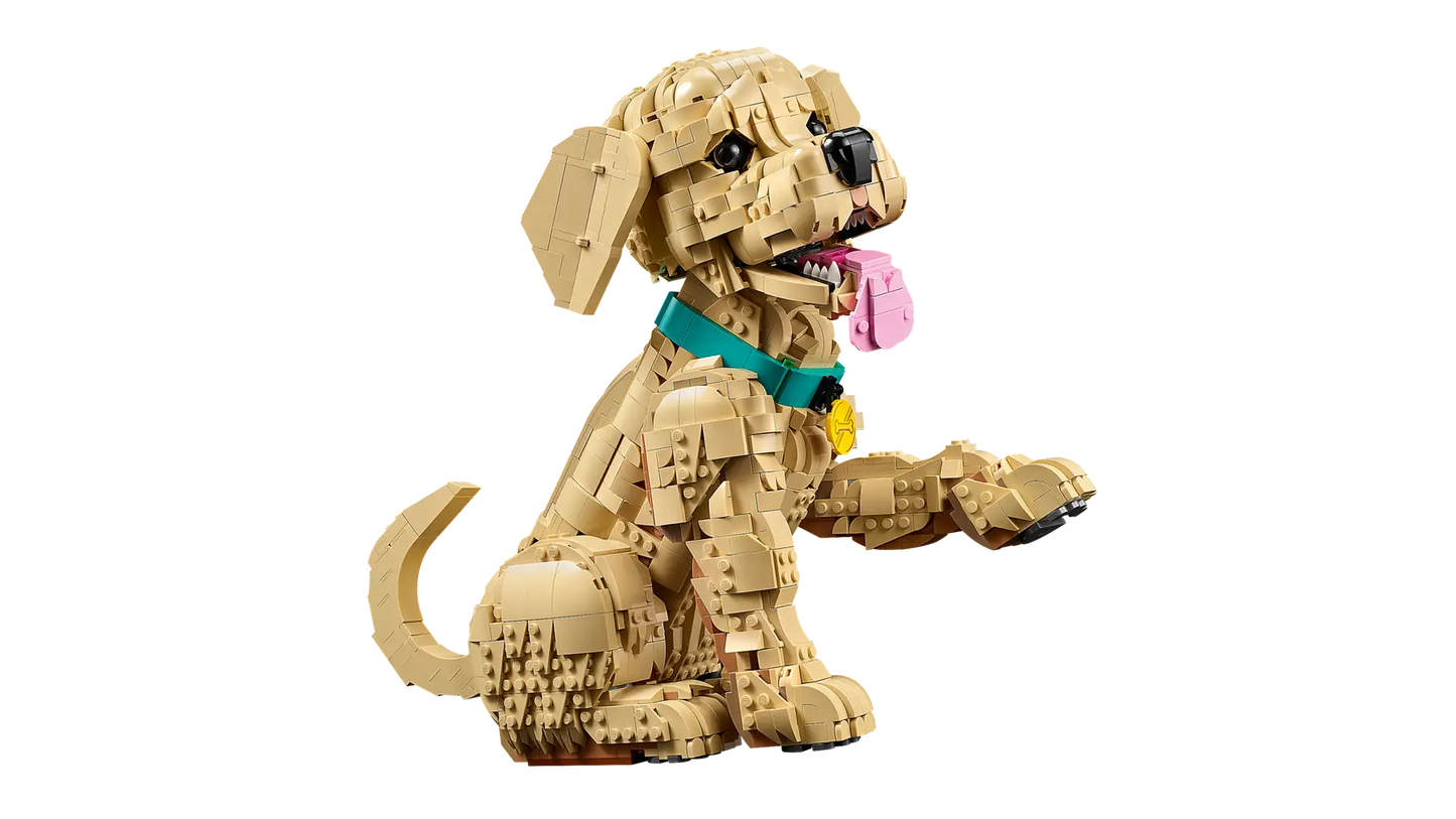 DISPONIBILE DA APRILE 2026 - 11384 LEGO ICONS - Cucciolo di Golden Retriever