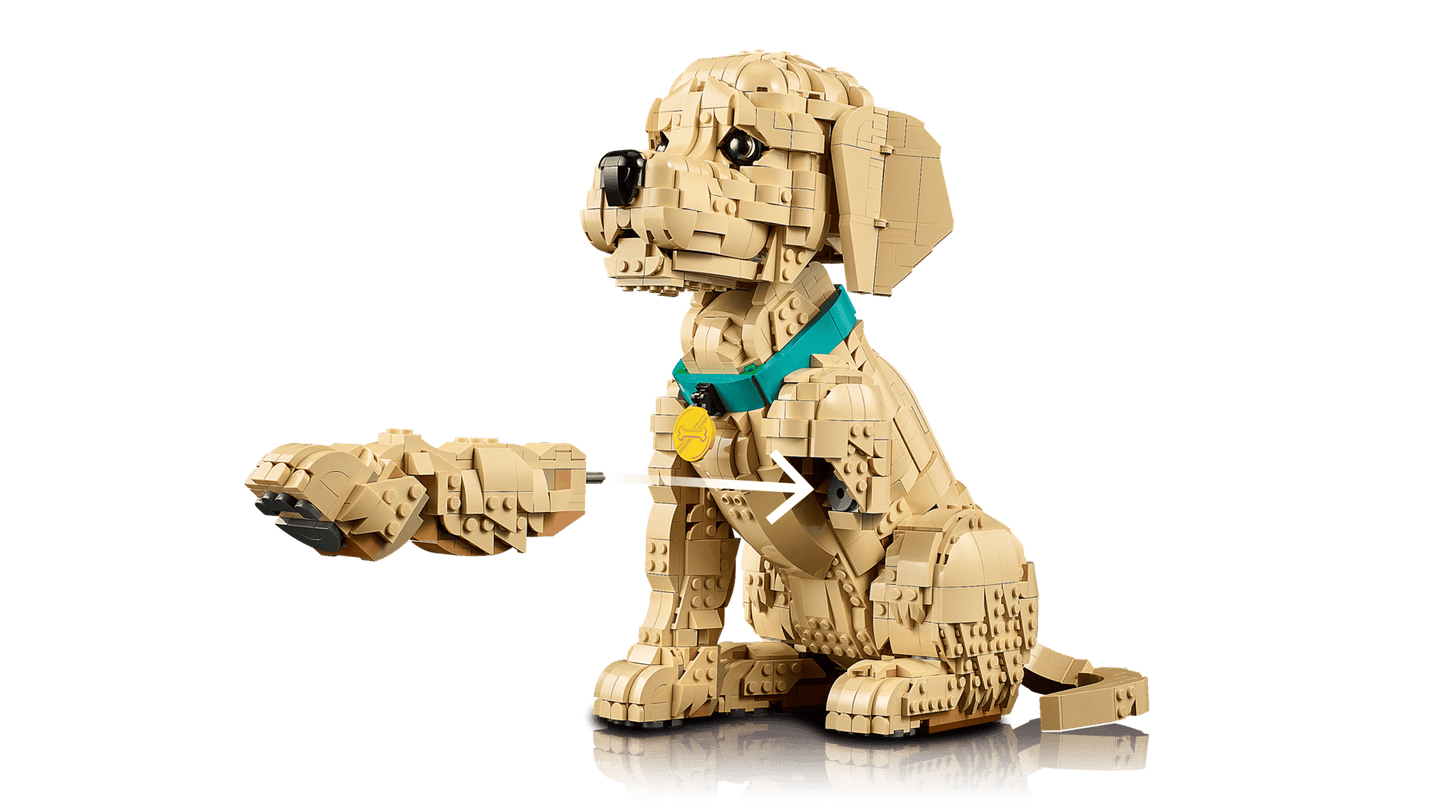 DISPONIBILE DA APRILE 2026 - 11384 LEGO ICONS - Cucciolo di Golden Retriever