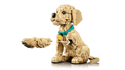 DISPONIBILE DA APRILE 2026 - 11384 LEGO ICONS - Cucciolo di Golden Retriever