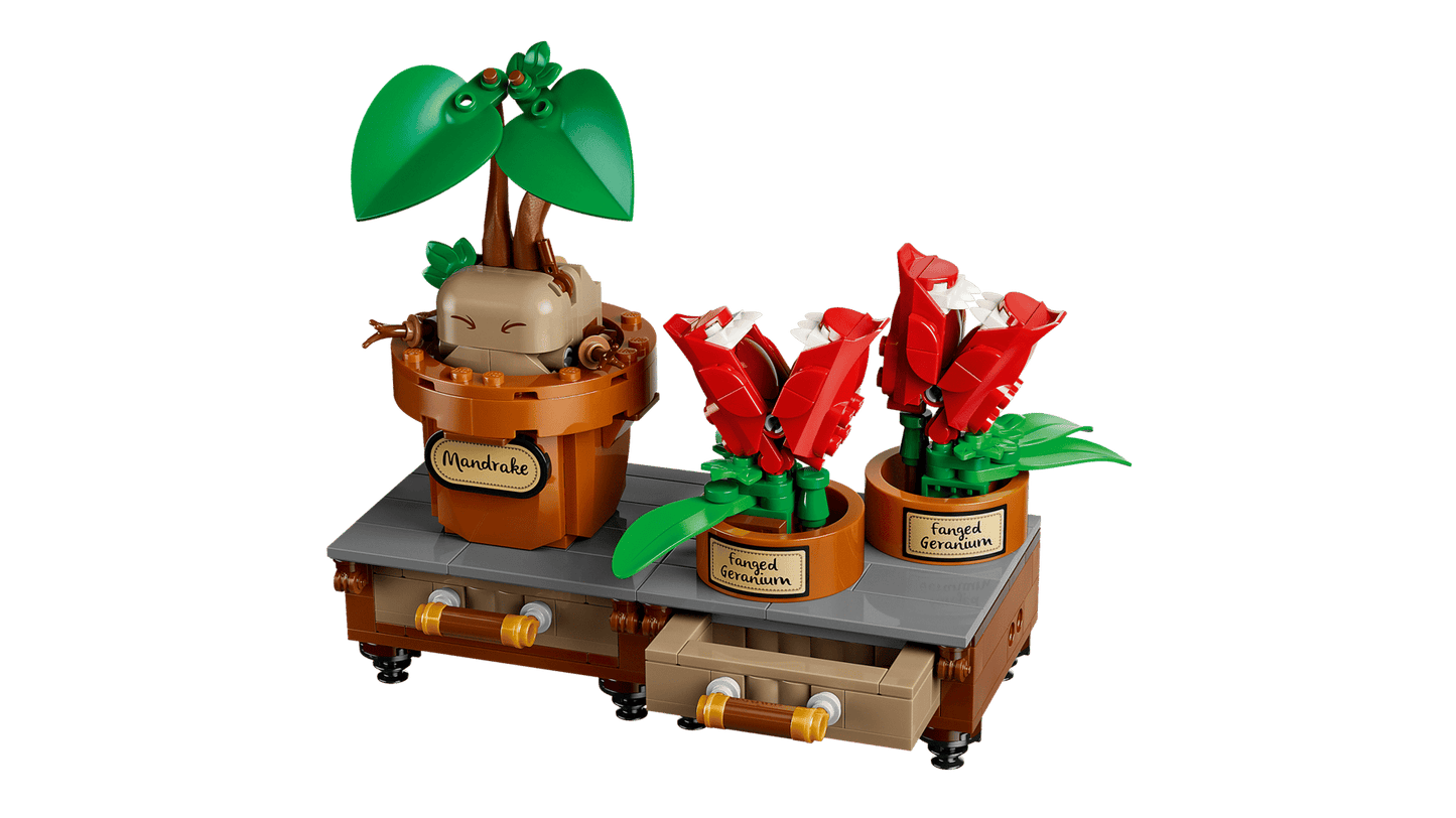 DISPONIBILE DA GIUGNO 2026 - 76474 LEGO Harry Potter - Piante di erbologia di Hogwarts™