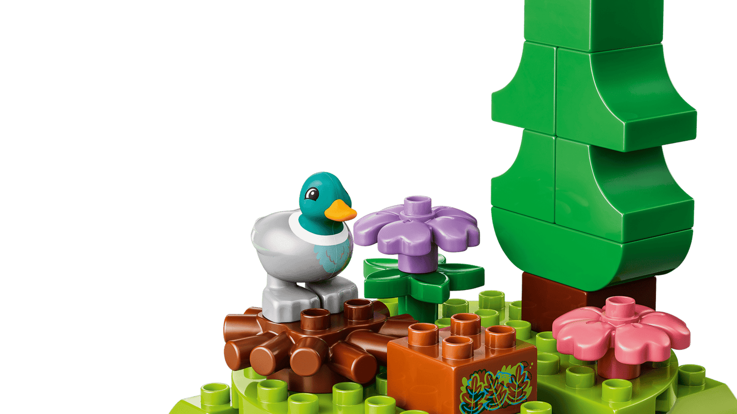 10480 Duplo - Foresta esplorativa con animali selvatici
