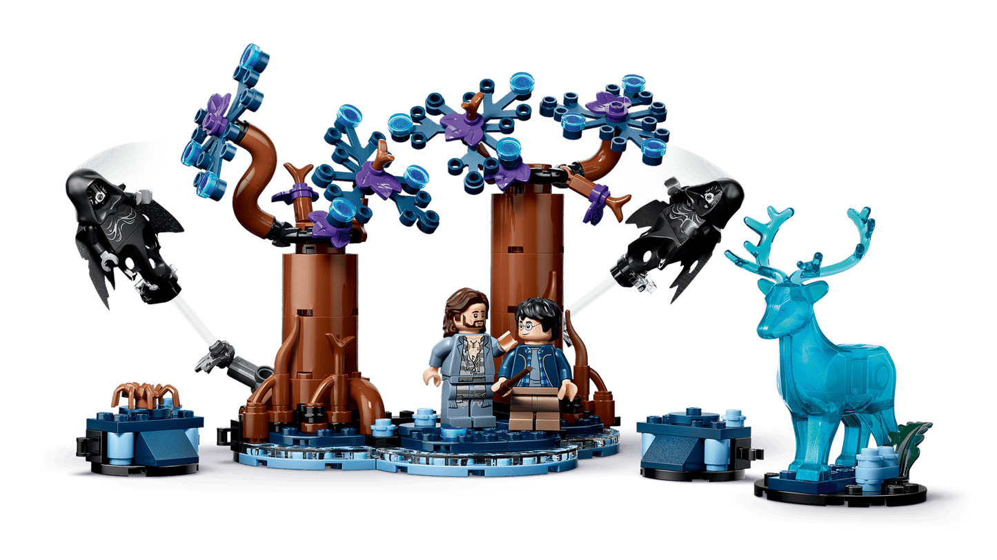 DISPONIBILE DA GIUGNO 2026 - 76475 LEGO Harry Potter - Foresta Proibita: Expecto Patronum