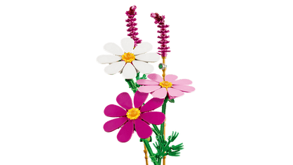 DISPONIBILE DA GIUGNO 2026 - 11514 LEGO BOTANICALS - Fiori di Cosmos