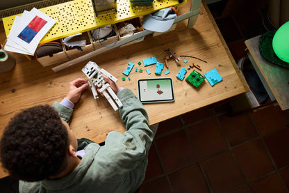 DISPONIBILE DA GIUGNO 2026 - 21594 LEGO Minecraft - Lo Scheletro