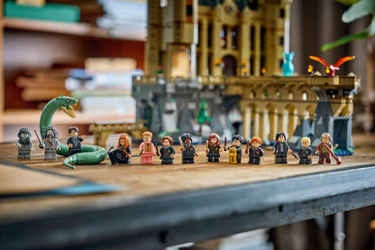 DISPONIBILE DA GIUGNO 2026 - 76473 LEGO Harry Potter - Castello di Hogwarts™: Ala Est