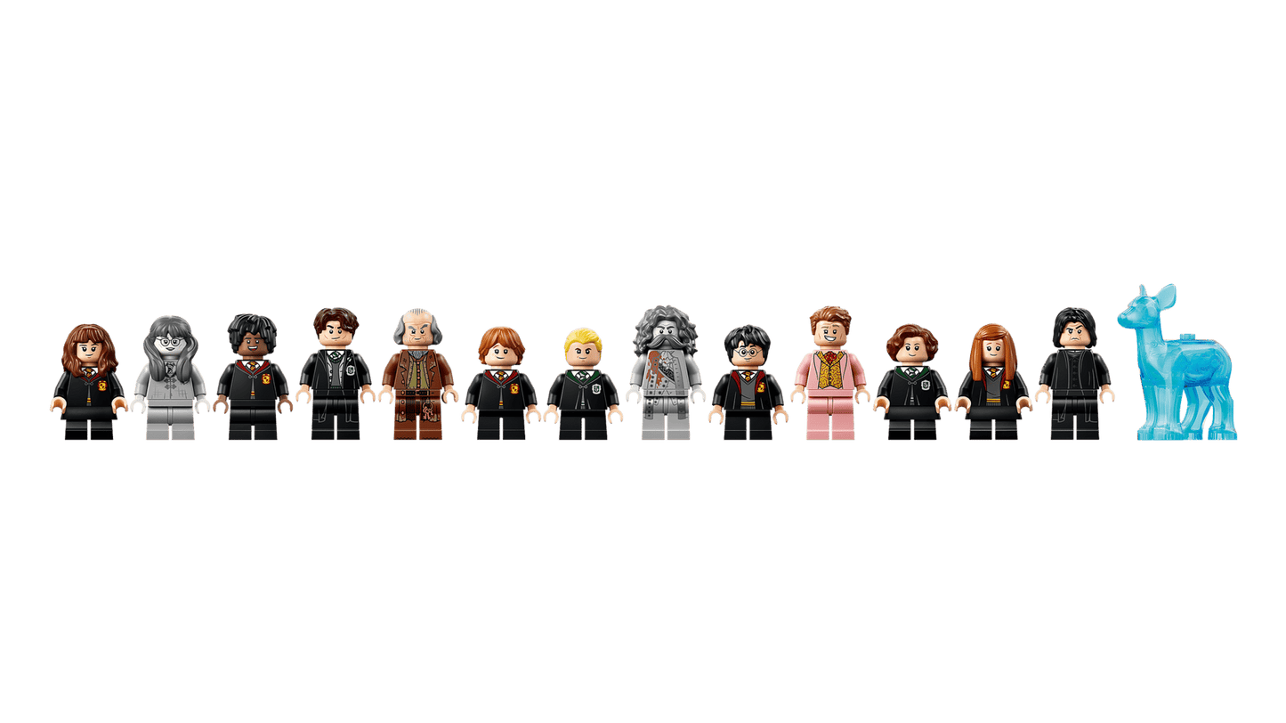 DISPONIBILE DA GIUGNO 2026 - 76473 LEGO Harry Potter - Castello di Hogwarts™: Ala Est