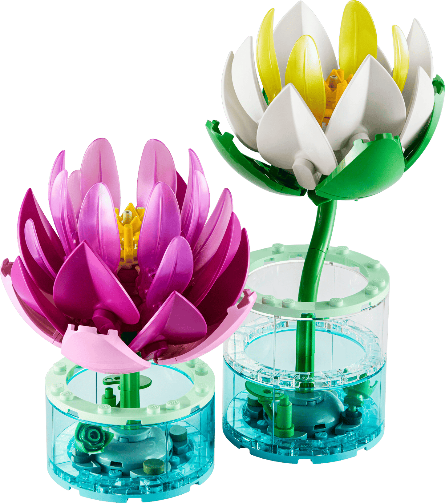 DISPONIBILE DA GIUGNO 2026 - 11511 LEGO BOTANICALS - Ninfee