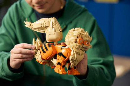 DISPONIBILE DA AGOSTO 2026 - 72160 LEGO POKEMON - Arcanine