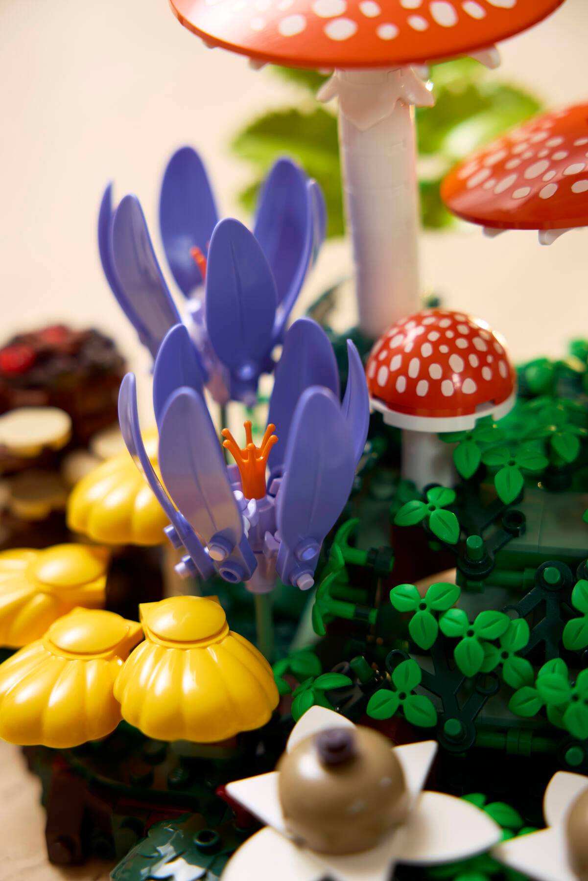 DISPONIBILE DA GIUGNO 2026 - 11505 LEGO BOTANICALS - Funghi del bosco