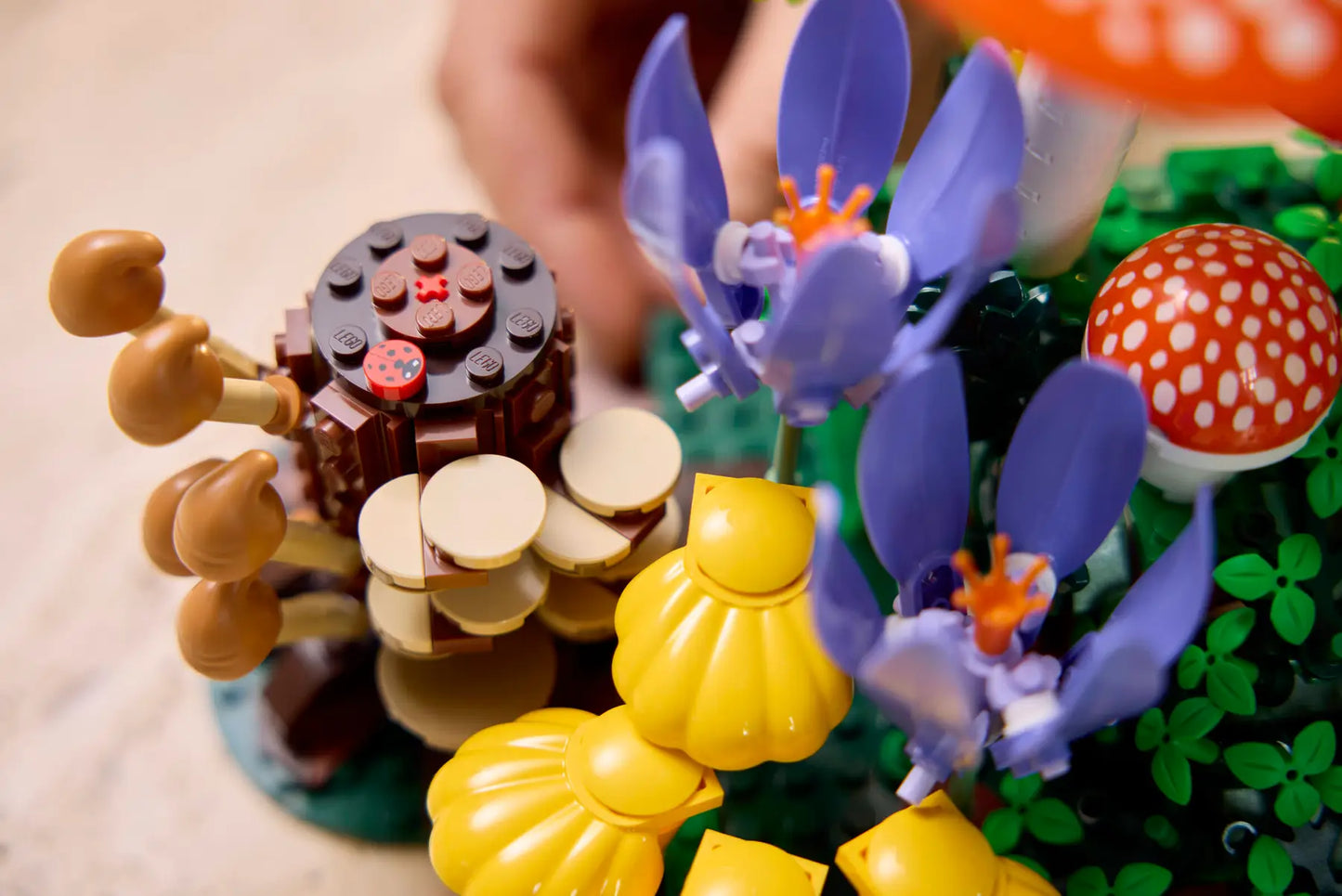 DISPONIBILE DA GIUGNO 2026 - 11505 LEGO BOTANICALS - Funghi del bosco