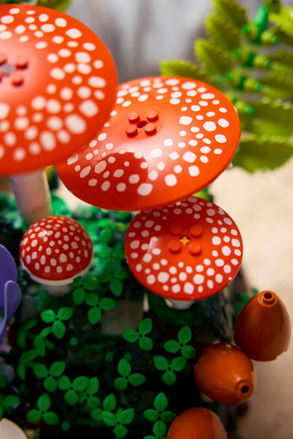 DISPONIBILE DA GIUGNO 2026 - 11505 LEGO BOTANICALS - Funghi del bosco